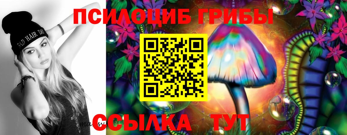 Галлюциногенные грибы Psilocybine cubensis Шарыпово