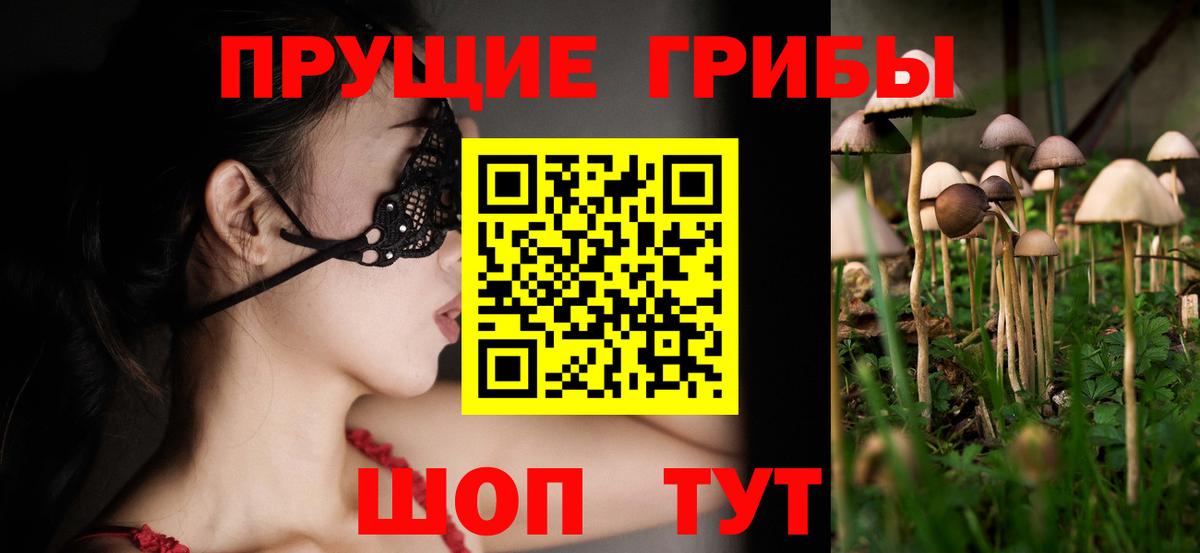 Псилоцибиновые грибы Cubensis  Вход с VPN  Галлюциногенные грибы ЛСД  Шарыпово 